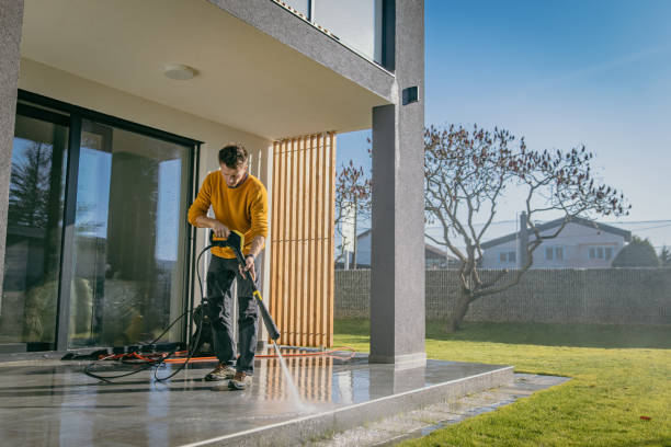 Best Graffiti Removal  in Valley City, ND